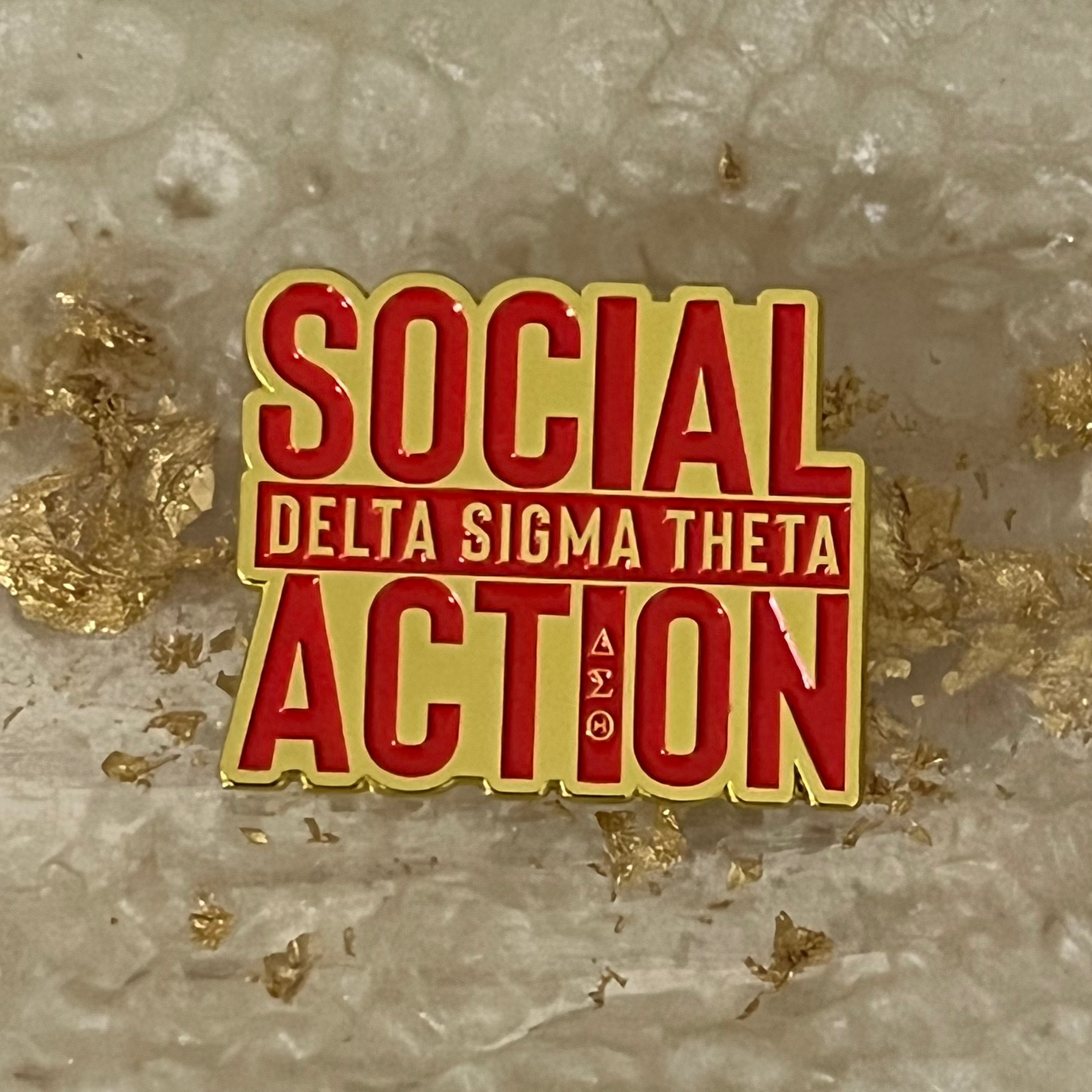 DST Social Action Pin